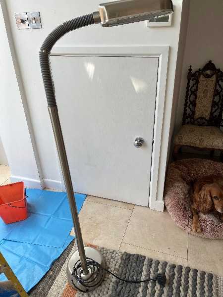 Stainless Steel Standard lamp
