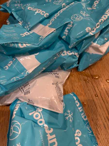 Bag full of freezer packs