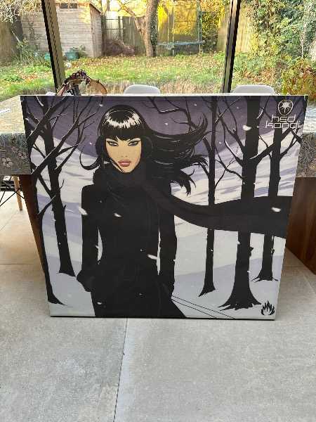 Canvas picture