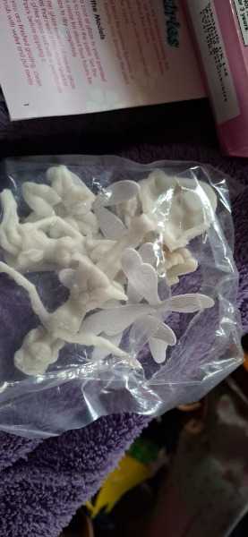Flower fairies