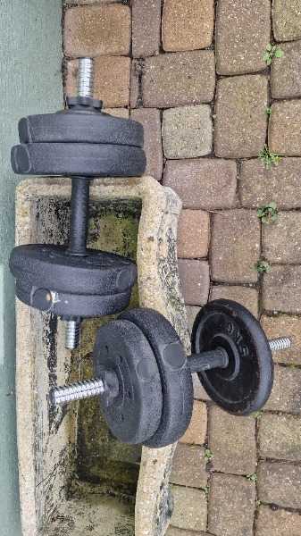 Dumbells (one weight missing)