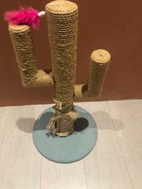 Cactus Cat Scratcher