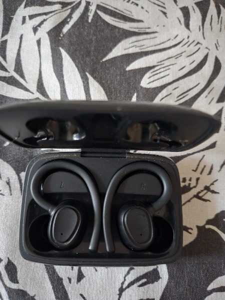 Earbuds
