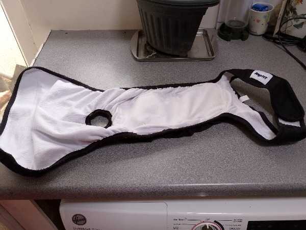 Dog Nappies for collie sized dog