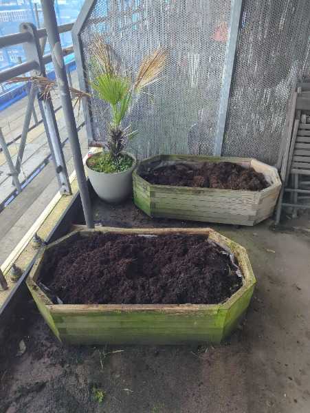 Two raised bed planters with soil ASAP
